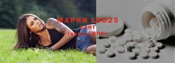 ПСИЛОЦИБИНОВЫЕ ГРИБЫ Дмитров
