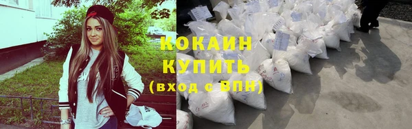 соль ск Абаза