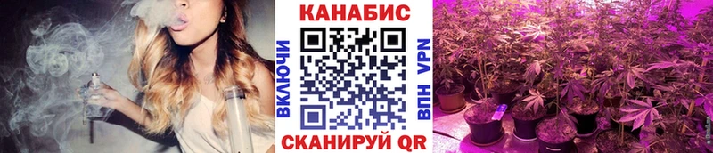 Канабис OG Kush  Вышний Волочёк 